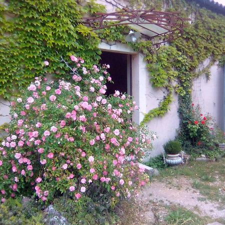 Bed and Breakfast Le Domaine De Belle LʼIsle-sur-la-Sorgue Zewnętrze zdjęcie