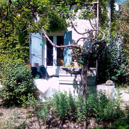 Bed and Breakfast Le Domaine De Belle LʼIsle-sur-la-Sorgue Zewnętrze zdjęcie