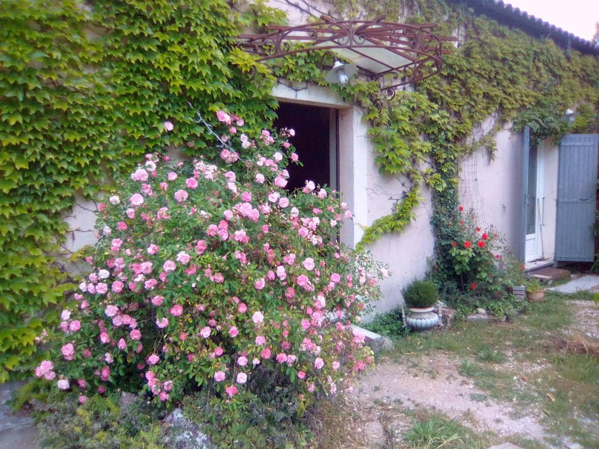 Bed and Breakfast Le Domaine De Belle LʼIsle-sur-la-Sorgue Zewnętrze zdjęcie